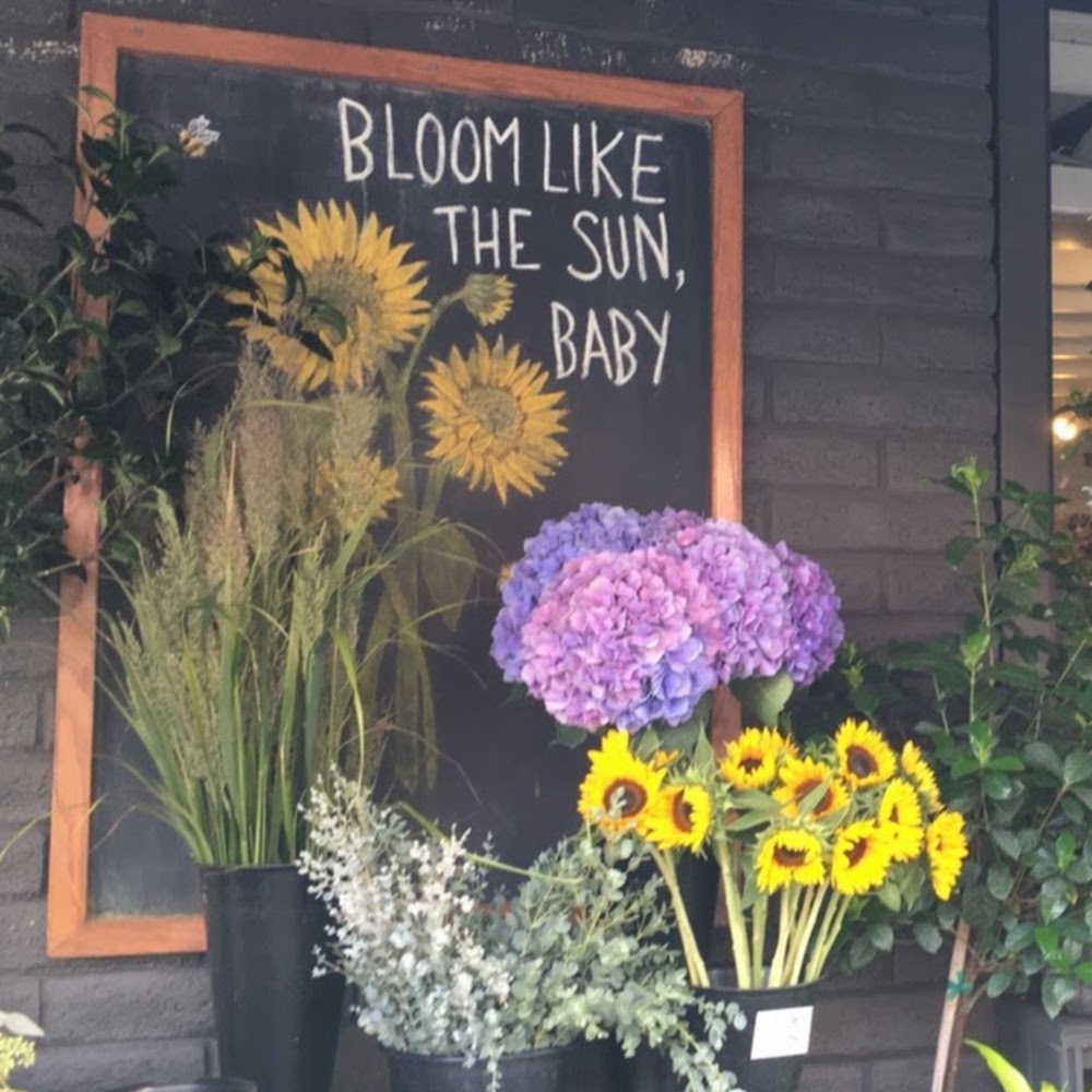 Meet your Posher, Vivian